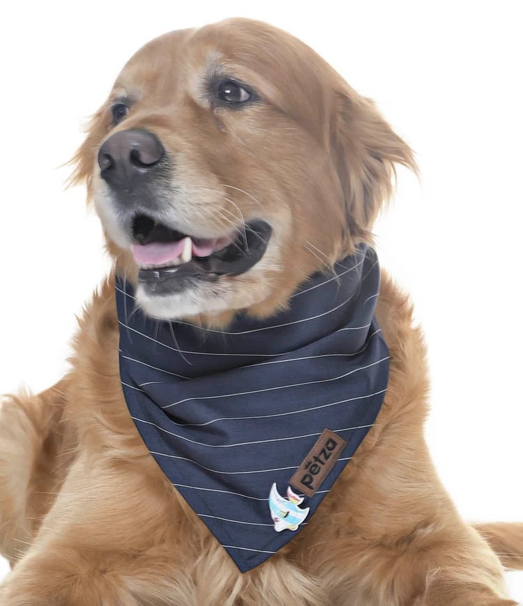 Köpek Bandana / Doxy