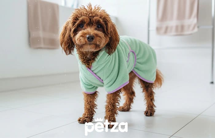 Pupfrog Köpek Bornozu - Petza