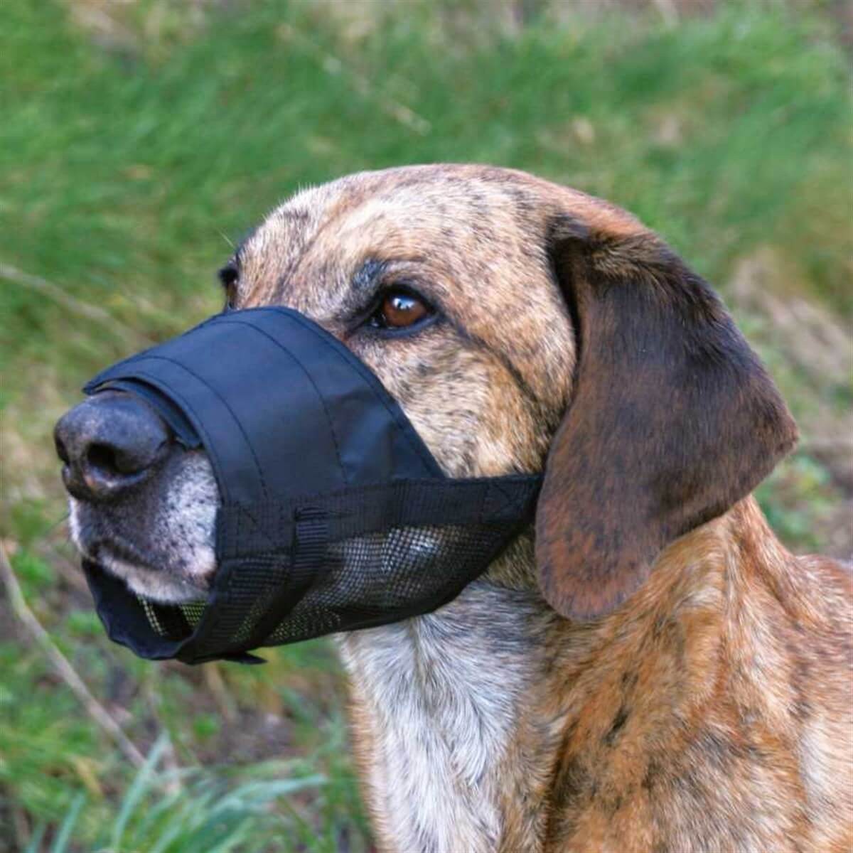 Trixie Fileli Köpek Ağızlığı Large 20-27cm