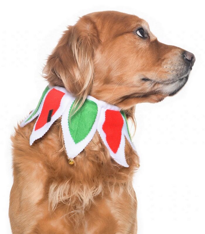 Köpek Lastikli Yılbaşı Yakalık Zazu