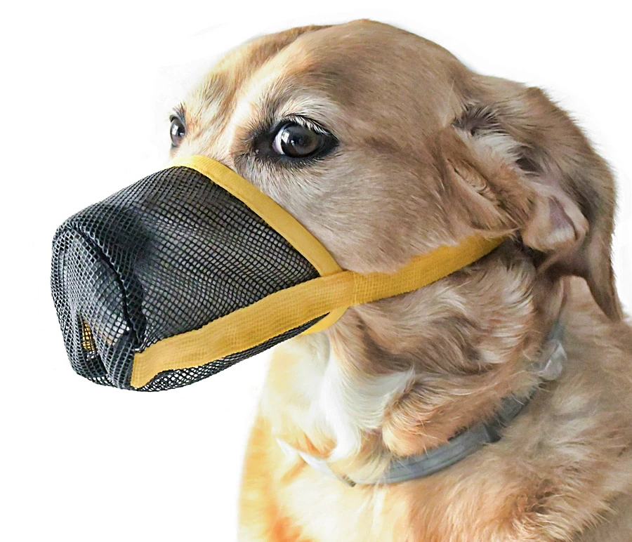 Köpek Ağızlık Tulok Ayarlanabilir