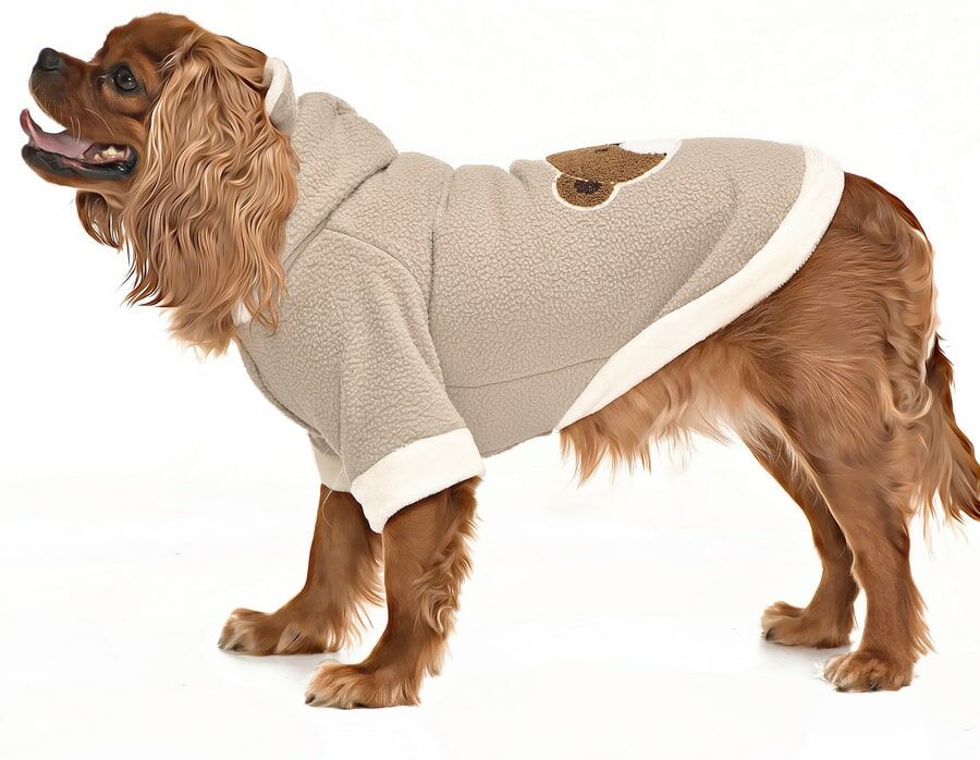 Küçük ve Orta Irk Köpek Polar Sweater - Vetu