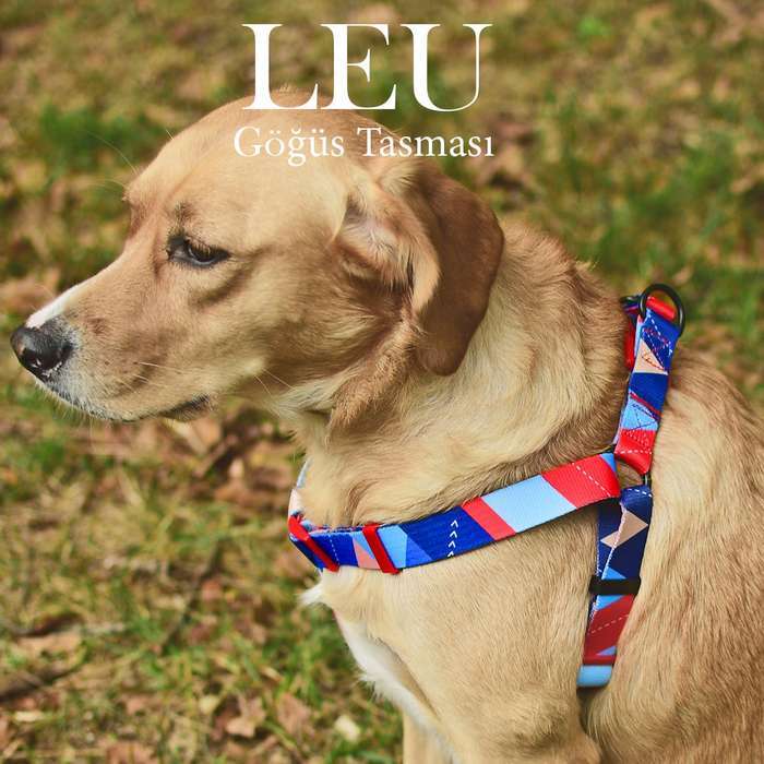 Köpek Göğüs Tasması Leu