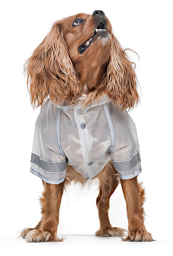 Köpek Küçük ve Orta Irk Yağmurluk Crocodile