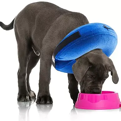 Petza Şişme Yakalık Kuura