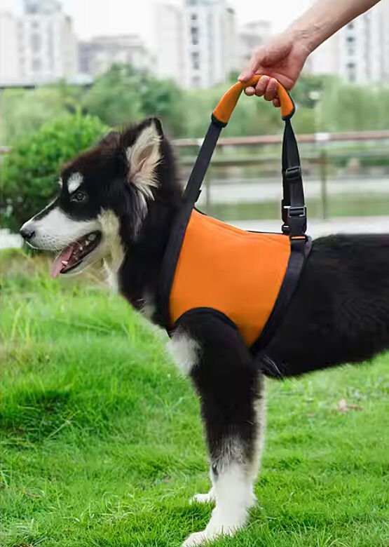 Köpek Kaldırma Kayışı Bopy