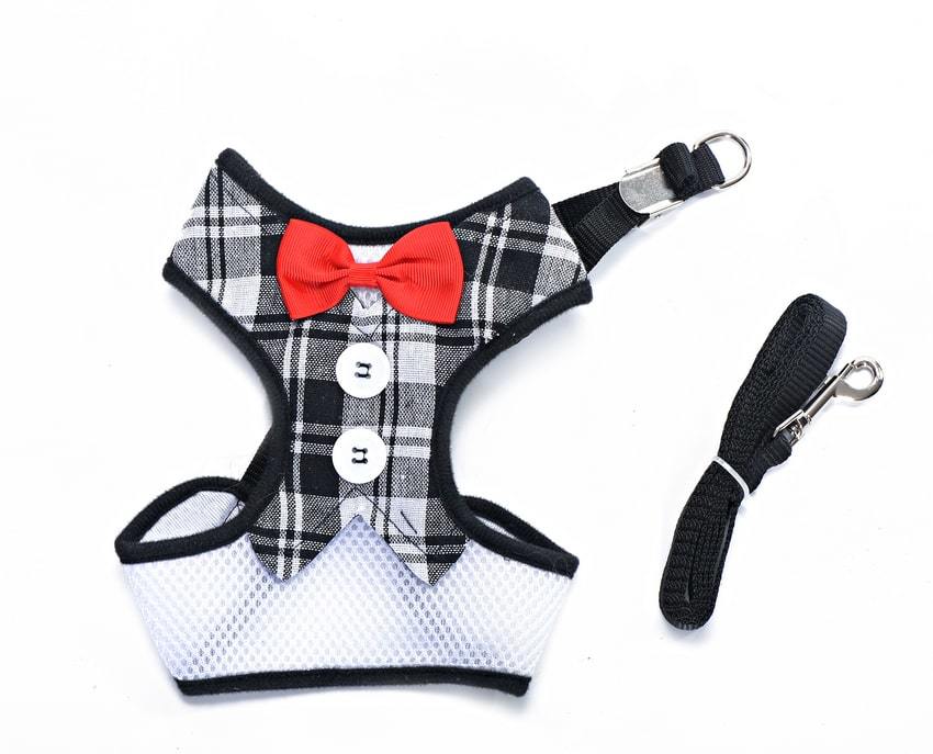 Köpek Göğüs Tasması ve Uzatması Patu Gri