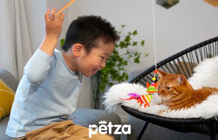Boppa Kedi Olta Oyuncak - Petza