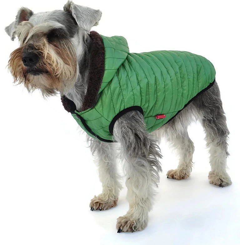 Köpek Küçük ve Orta Irk Mont Tiltu Yeşil