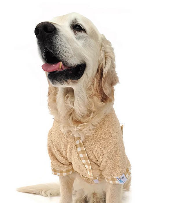 Baby Fish Köpek Bornozu - Büyük Irk Köpek