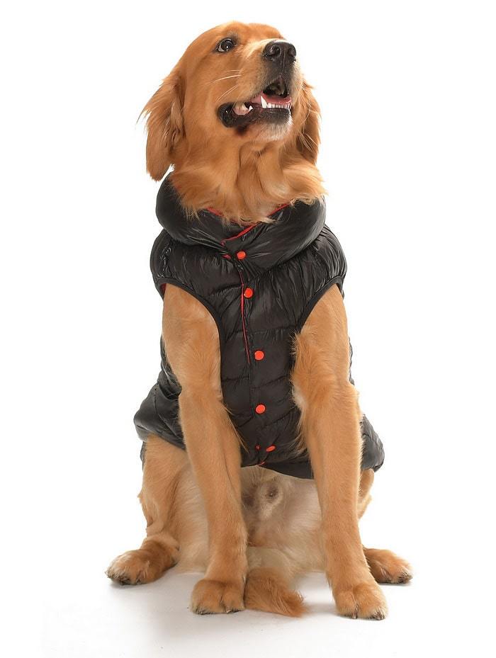 Büyük Irk Çift Taraflı Köpek Mont - Yuo Siyah & Kırmızı