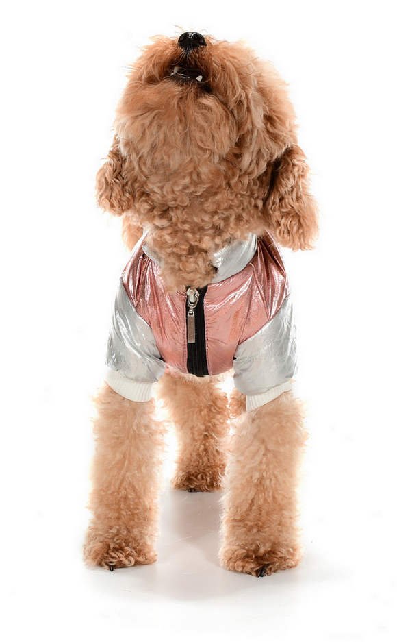 Küçük ve Orta Irk Köpek Paçalı Mont Norna