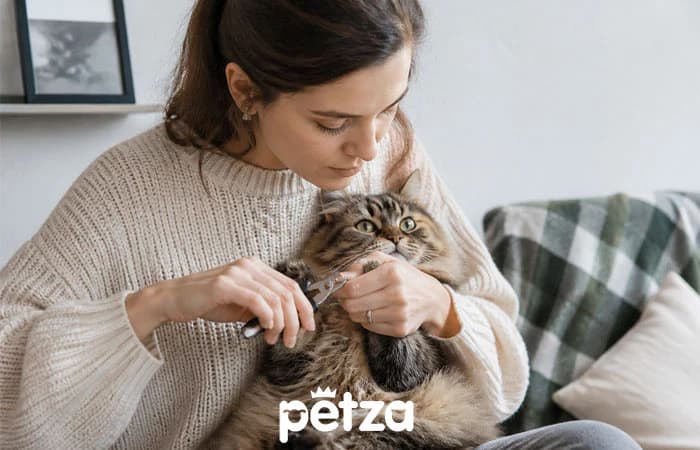 Kedi Tırnağı Nasıl Kesilir?
