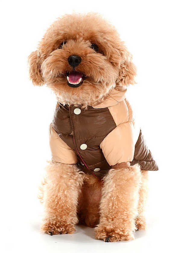 Küçük ve Orta Irk Köpek Mont Runa