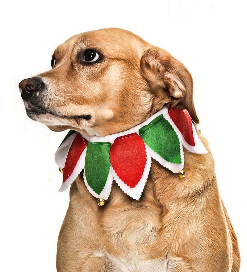 Köpek Lastikli Yılbaşı Yakalık Zazu