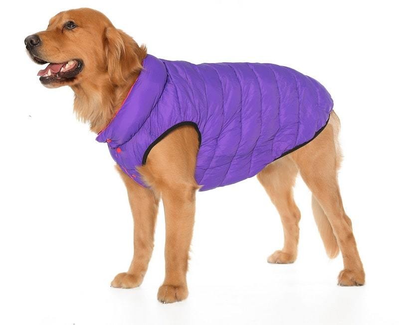 Büyük Irk Çift Taraflı Köpek Mont - Yuo Mor & Pembe