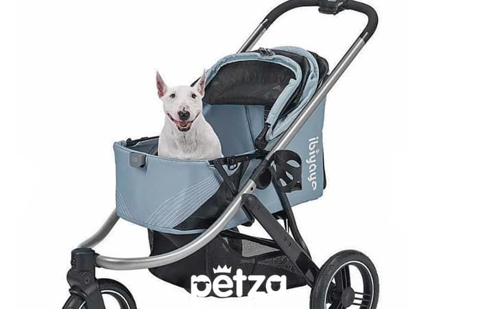 ibiyaya the beast kedi ve köpek puseti - Petza
