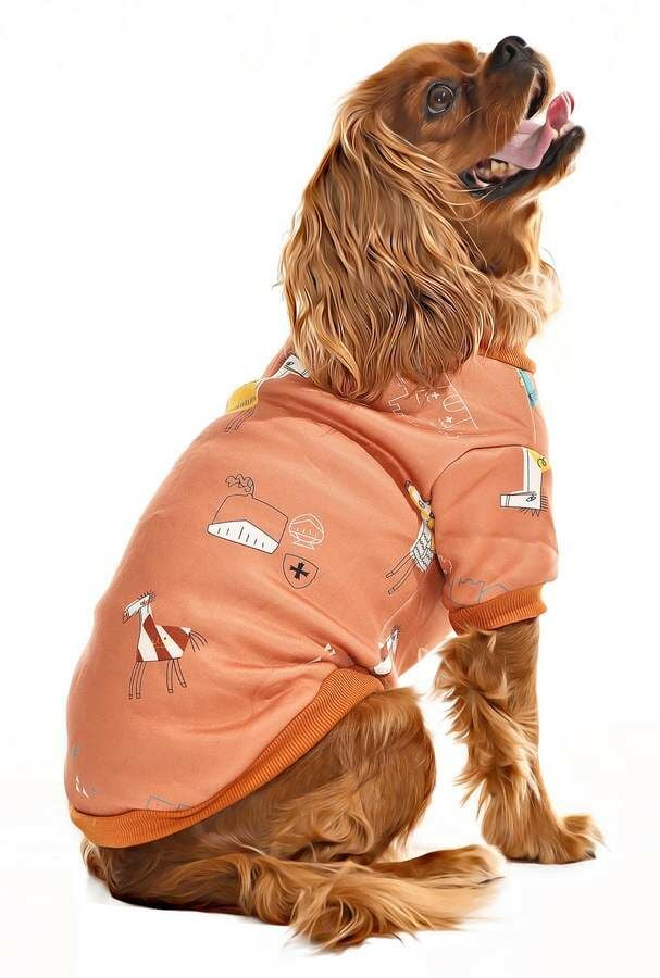 Küçük ve Orta Irk Köpek Sweater - Matru