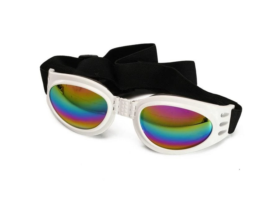 Orta ve Büyük Köpek Güneş Gözlüğü Royna Beyaz