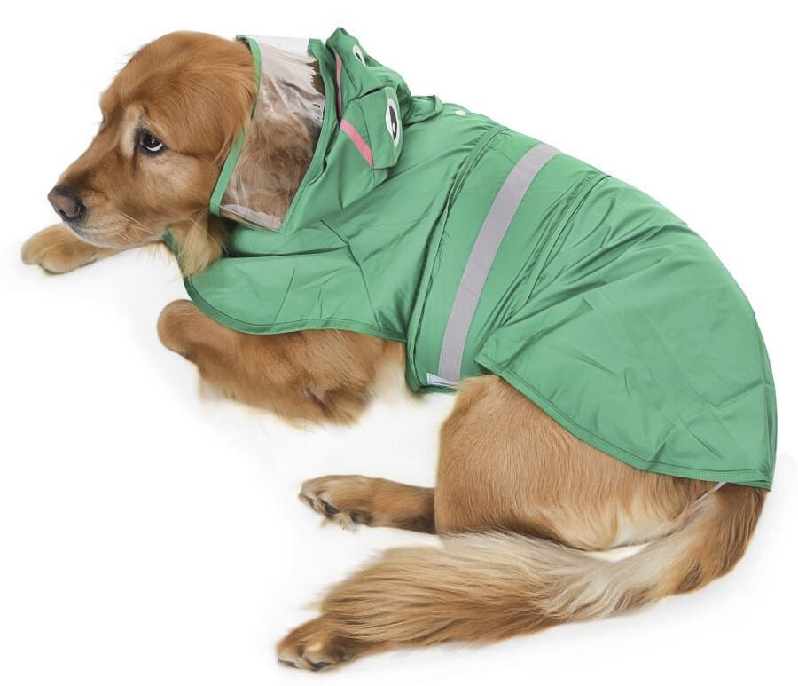 Köpek Küçük ve Orta Irk Yağmurluk Frog