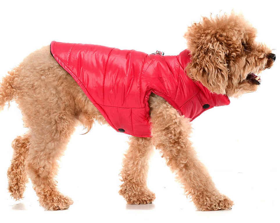 Küçük ve Orta Irk Köpek Mont Vigdis Kırmızı