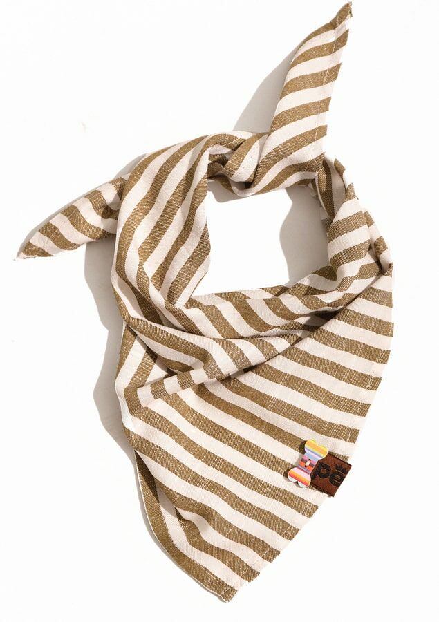 Köpek Bandana / Barbo