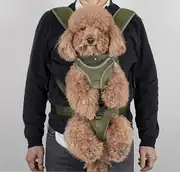 Köpek