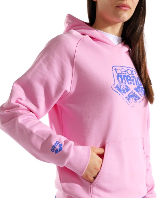 HOODED SWEAT ARENA LOGO