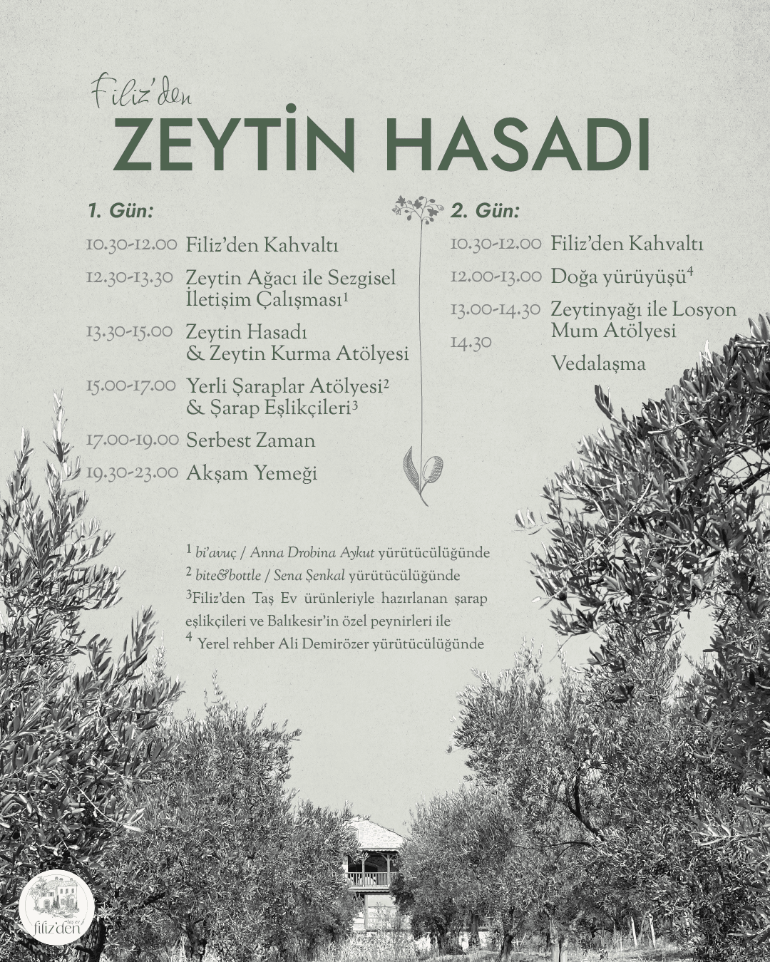 Filiz'den Zeytin Hasadı "24