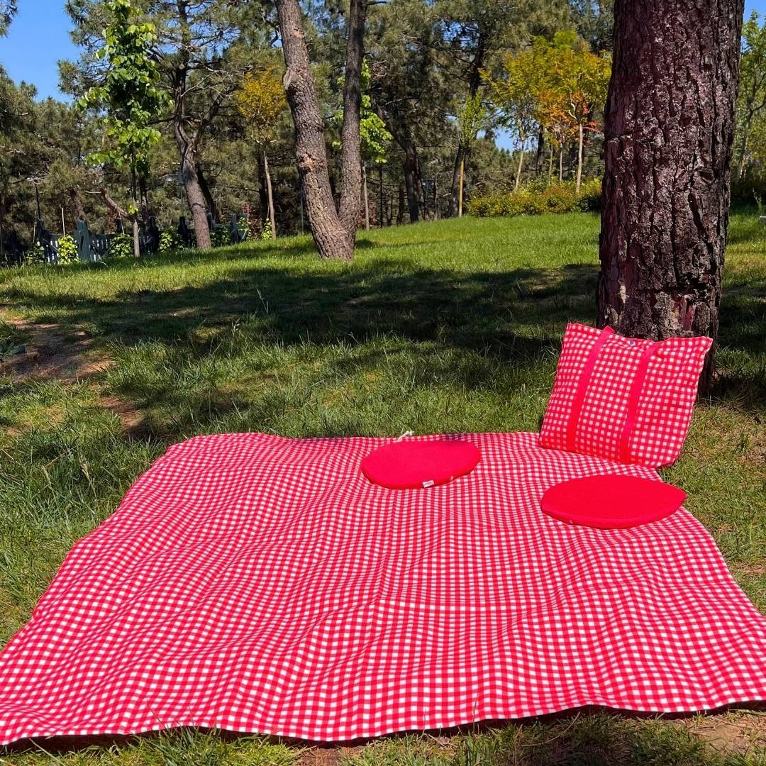 Red Patterned Picnic Set