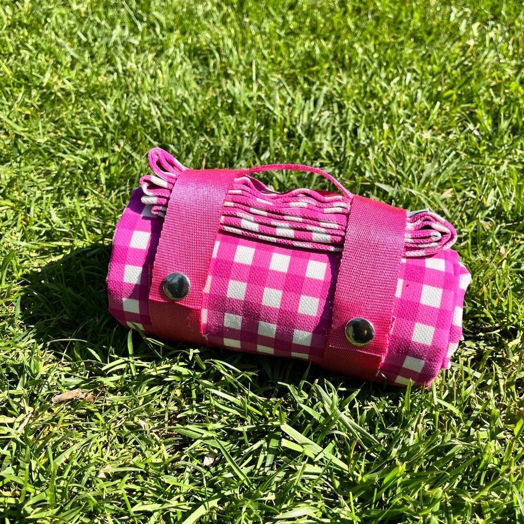 Fuchsia Colored Gingham Picnic Set