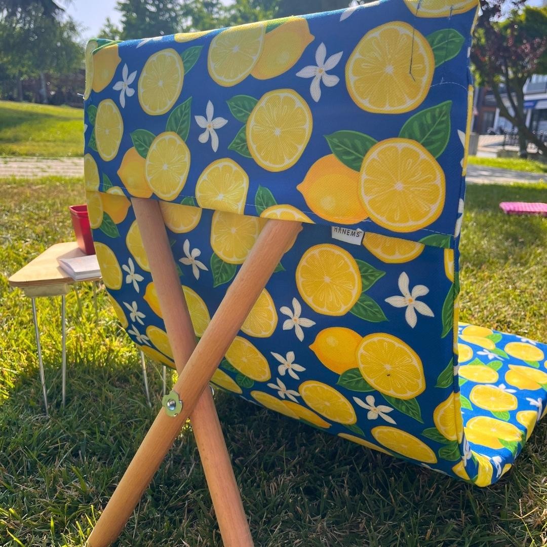 Rose Pattern Camp Chair, Folding Beach Chair, Outdoor Garden Chair