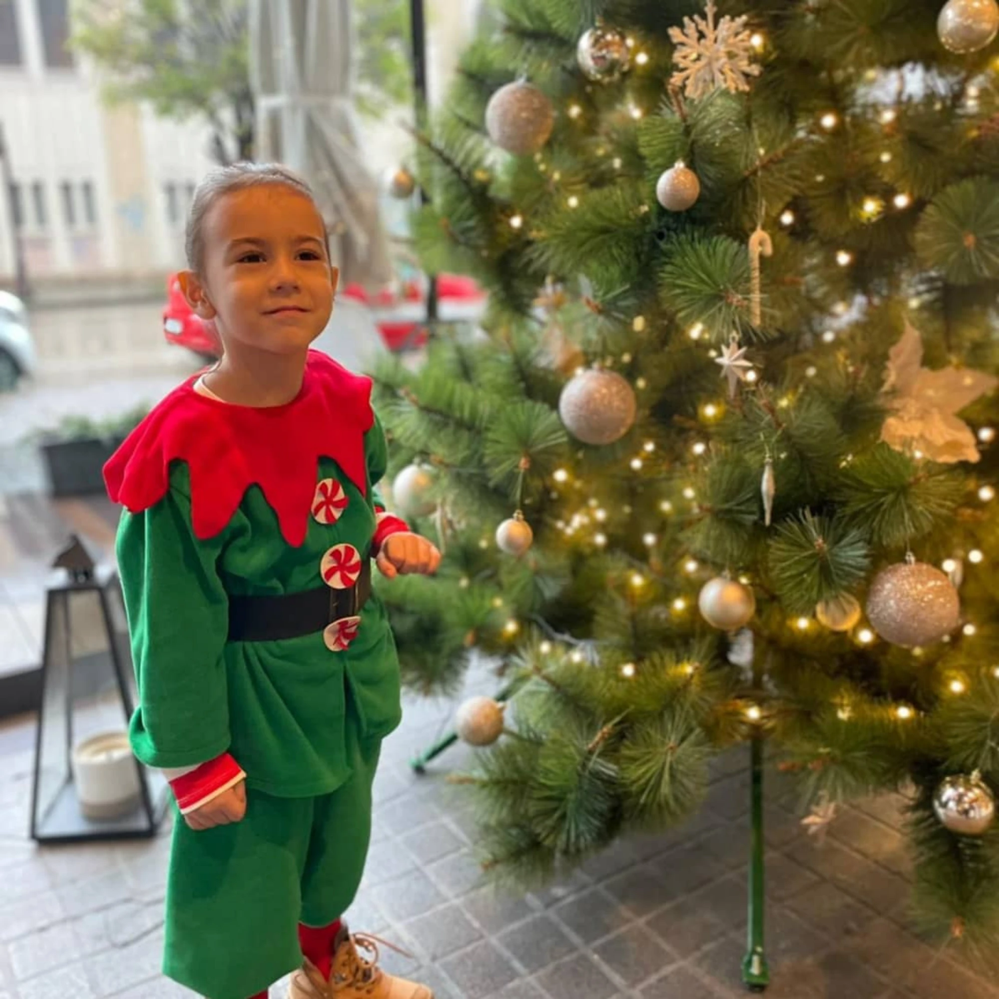 Elf Erkek Çocuk Kostümü