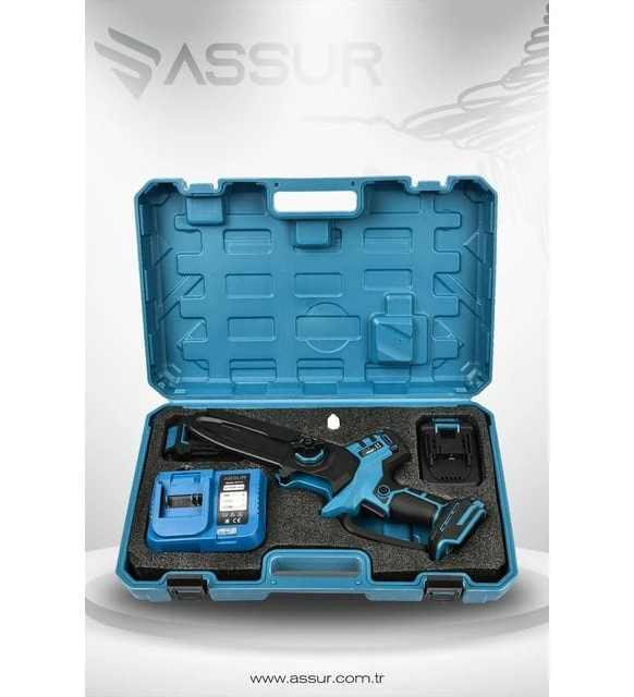 Assur ADN0605 Otomatik Yağlamalı Şarjlı Budama Testeresi Teleskopik Uyumlu 2 Bataryalı
