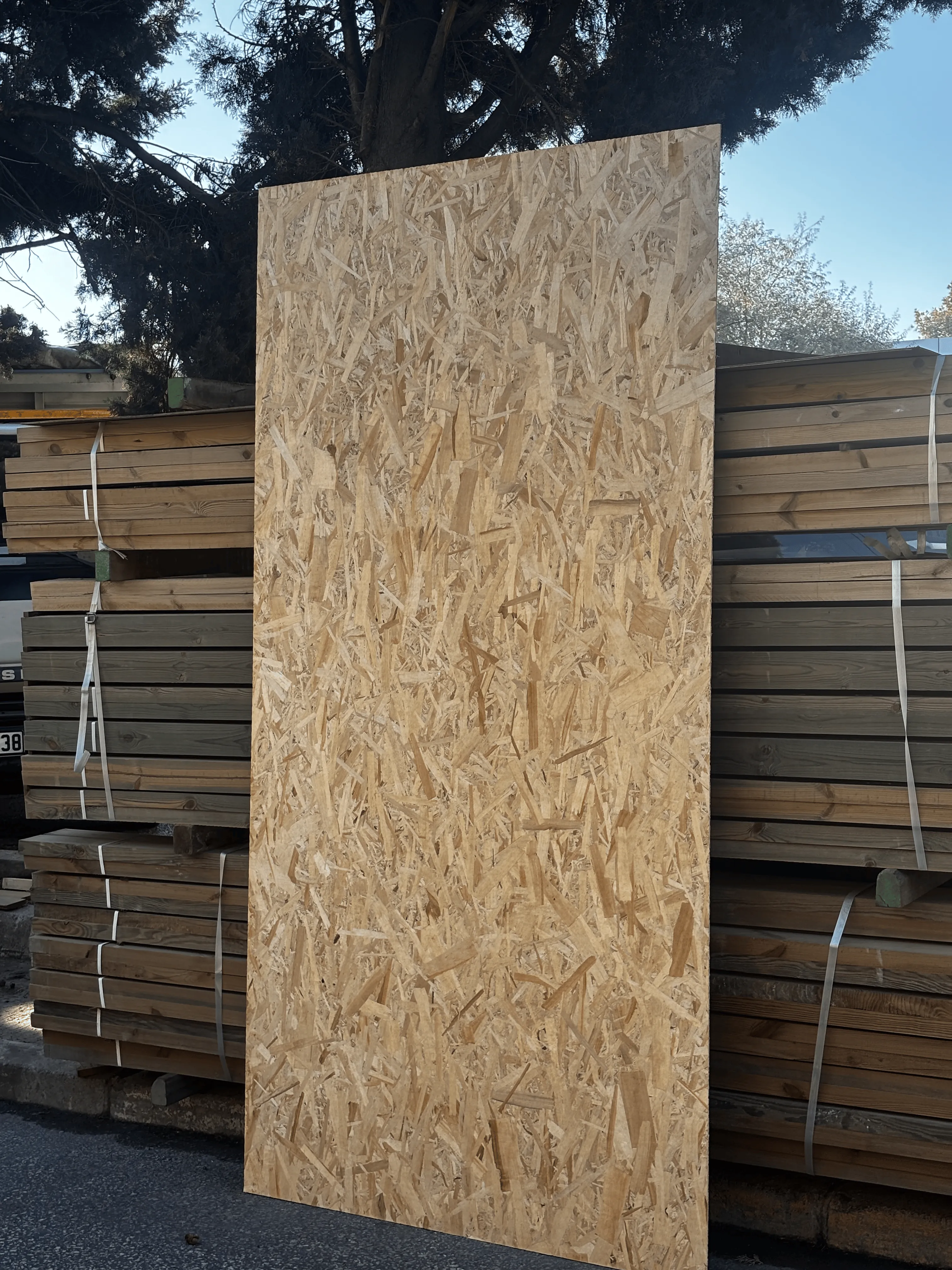 OSB 3 - 1250 x 2500 ( 6mm )