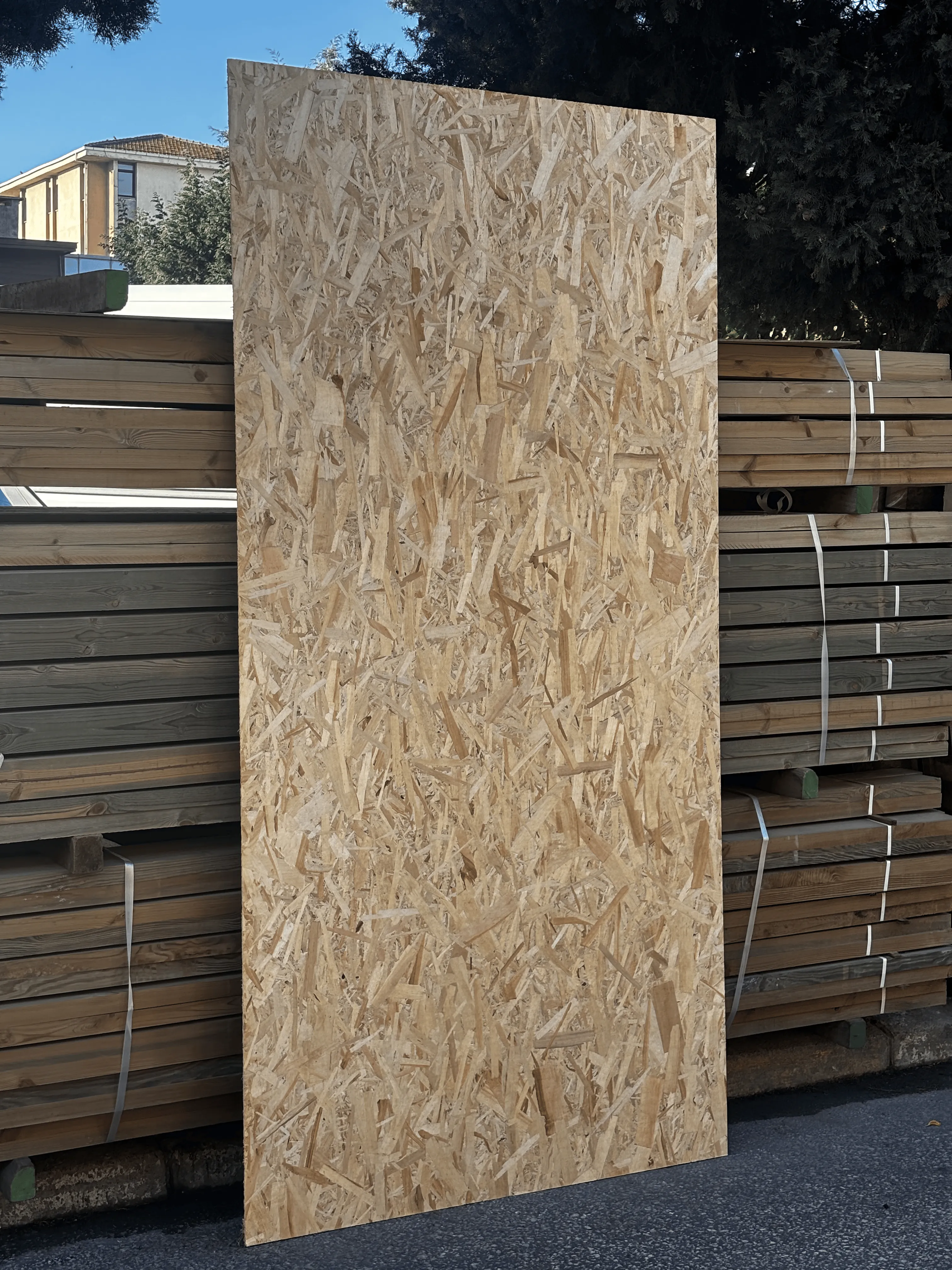 OSB 3 - 1250 x 2500 ( 6mm )