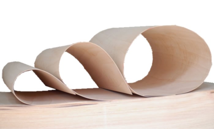 Esnek Kontrplak - 1220*2500mm (10mm)