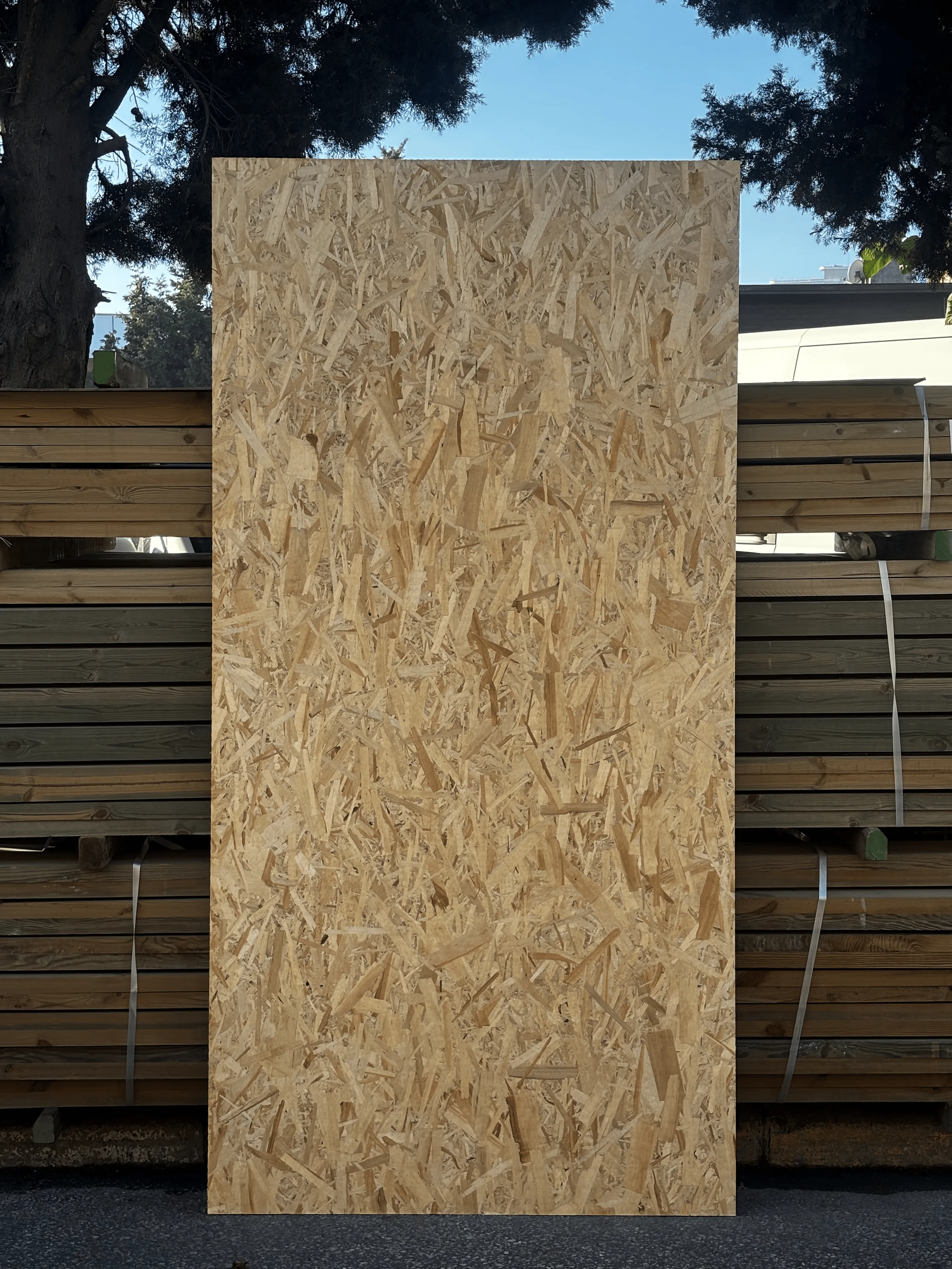 OSB 3 - 1220 x 2440 ( 10mm )