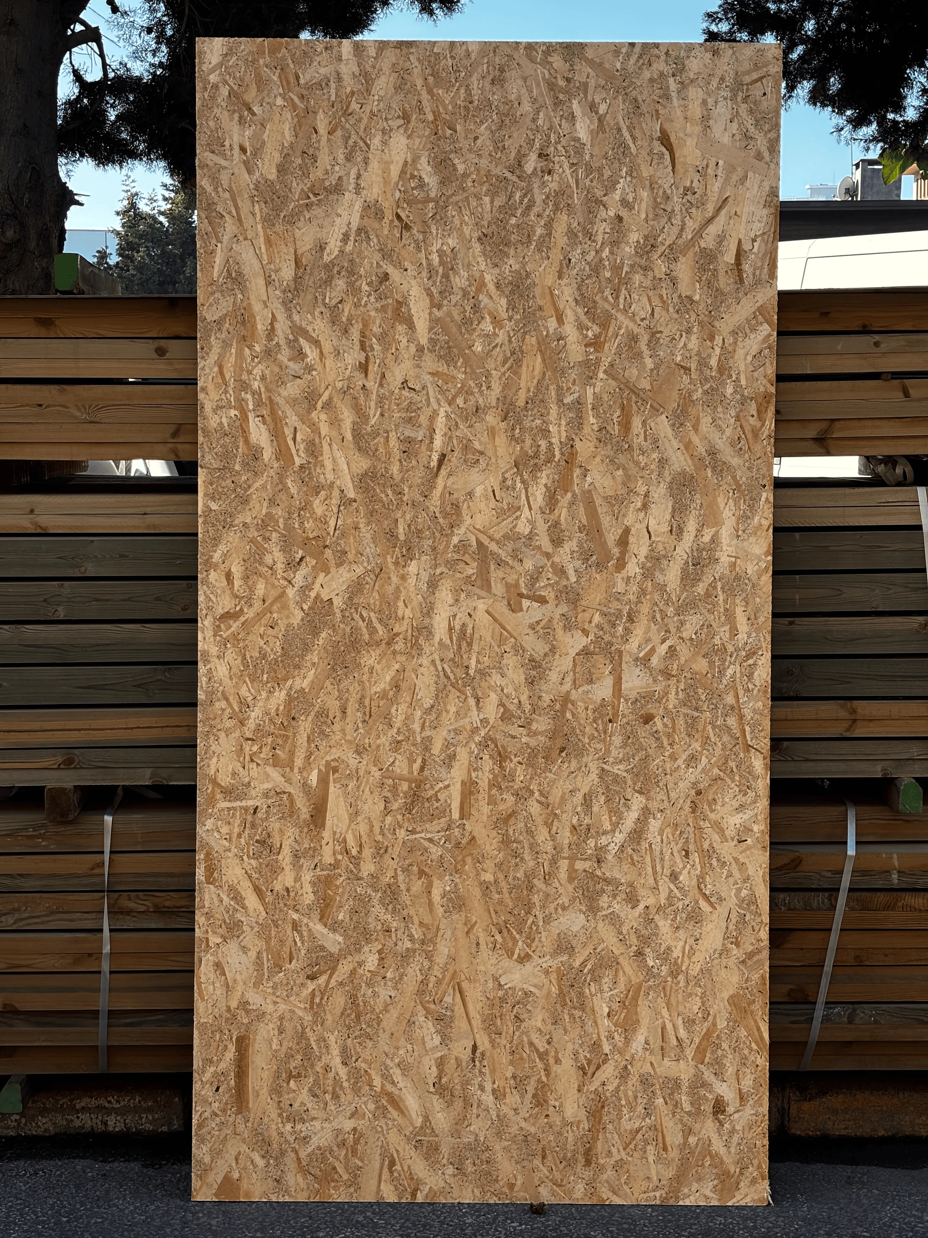 OSB 3 - 1220 x 2440 ( 10mm )