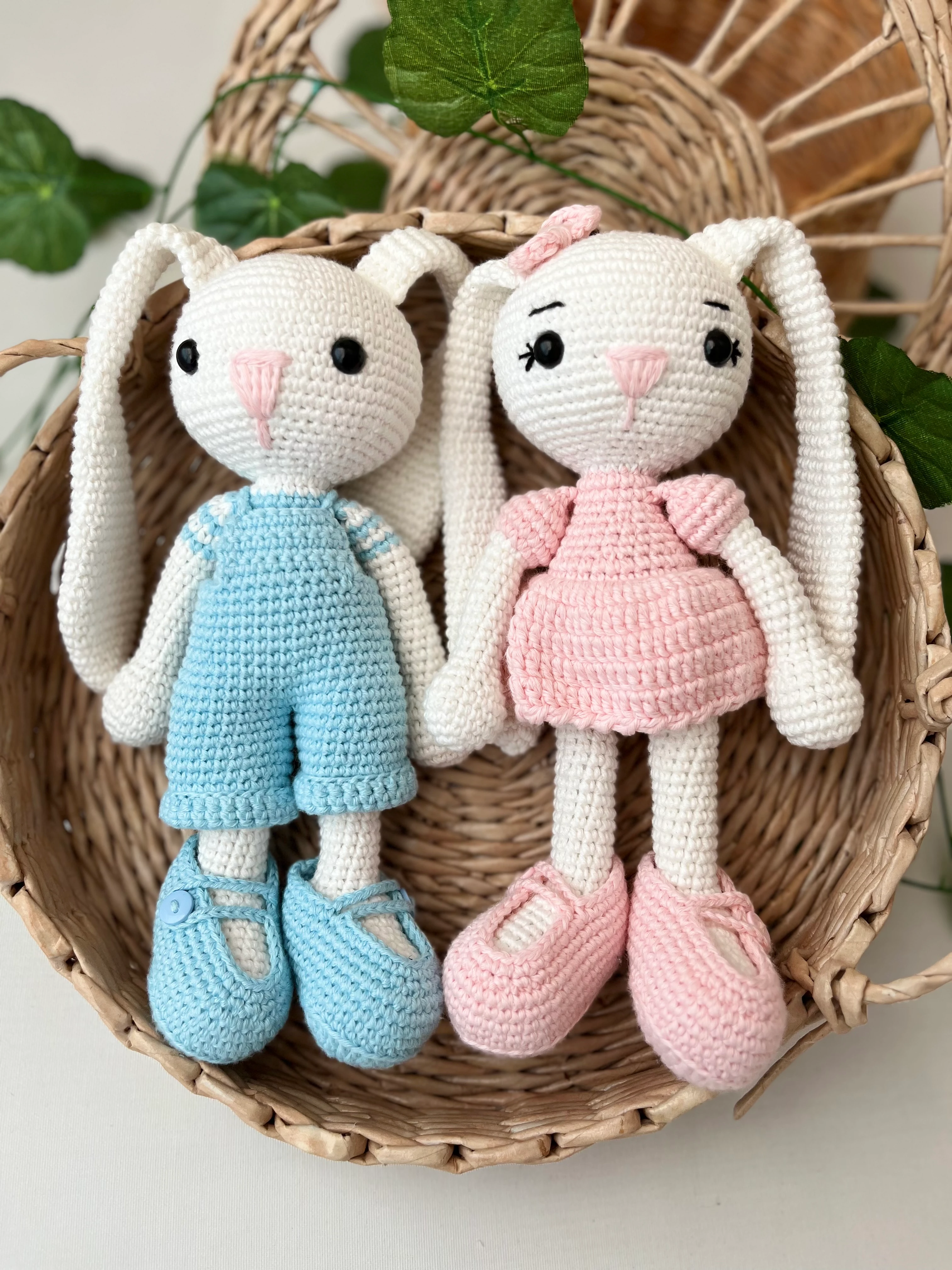 Uzun Kulaklı Tavşan