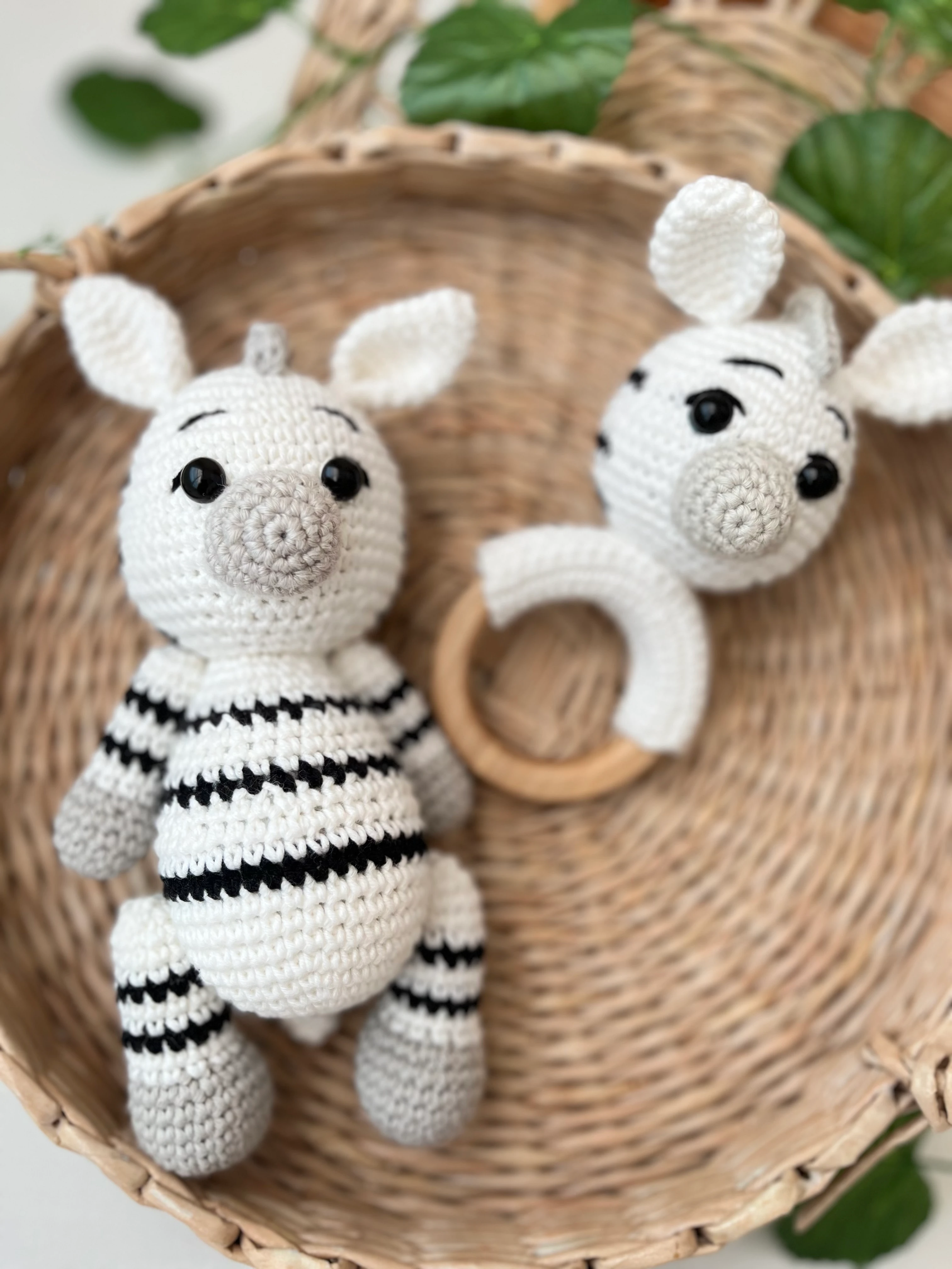 Uyku Arkadaşı ve Diş Kaşıyıcı