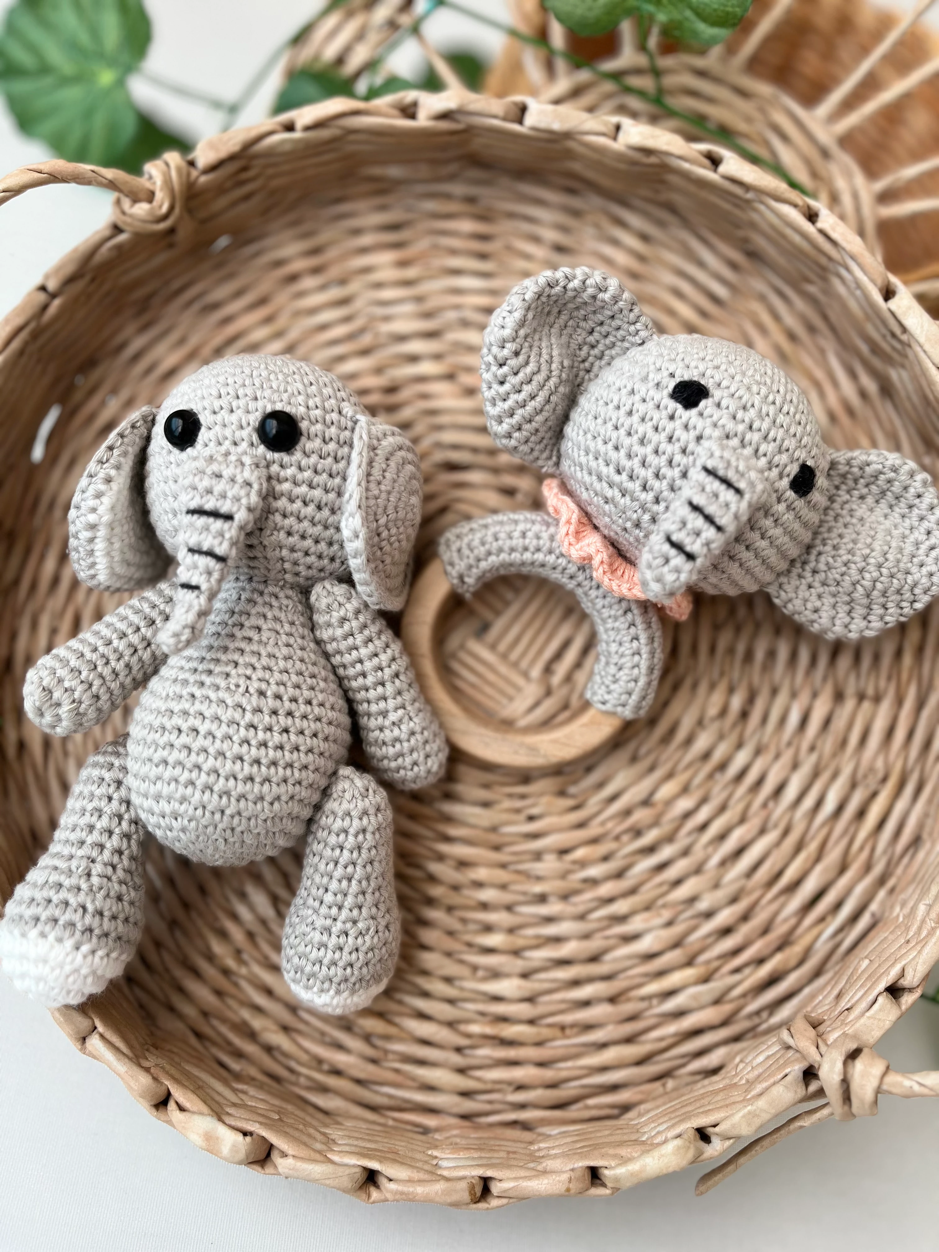 Uyku Arkadaşı ve Diş Kaşıyıcı