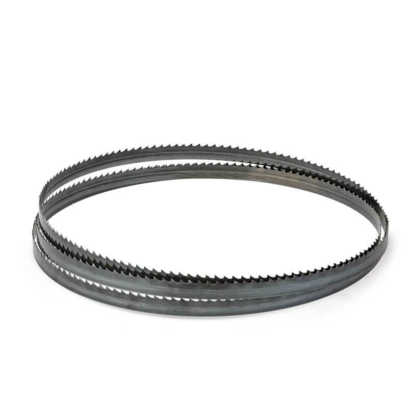 Şerit Testere Elektrikli (EINHELL 4308036 TC-SB 245 L)