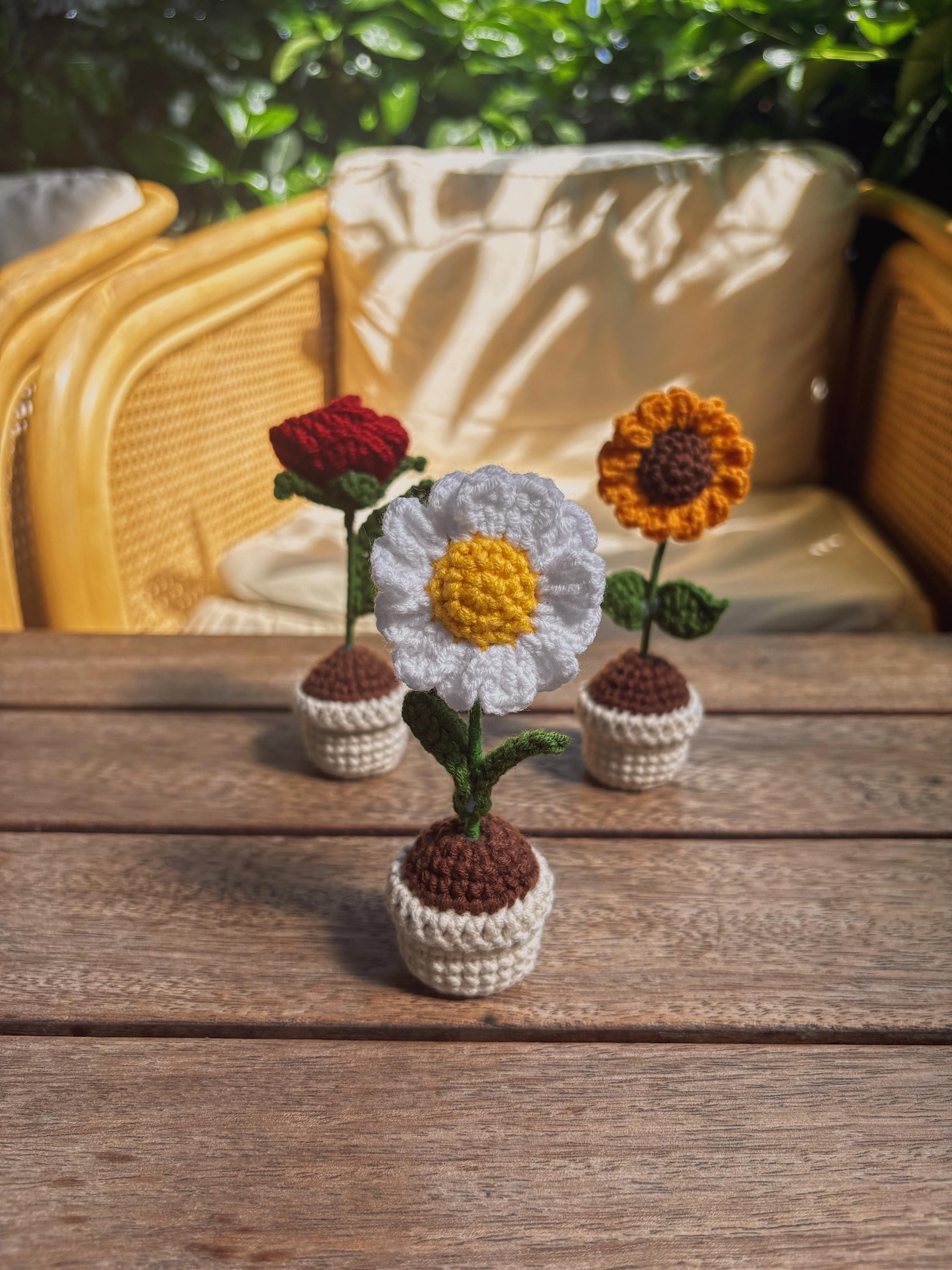 Crochet Potted Flower – Table / Car Decor – Rose, Daisy, Sunflower – Gift for Any Anniversary