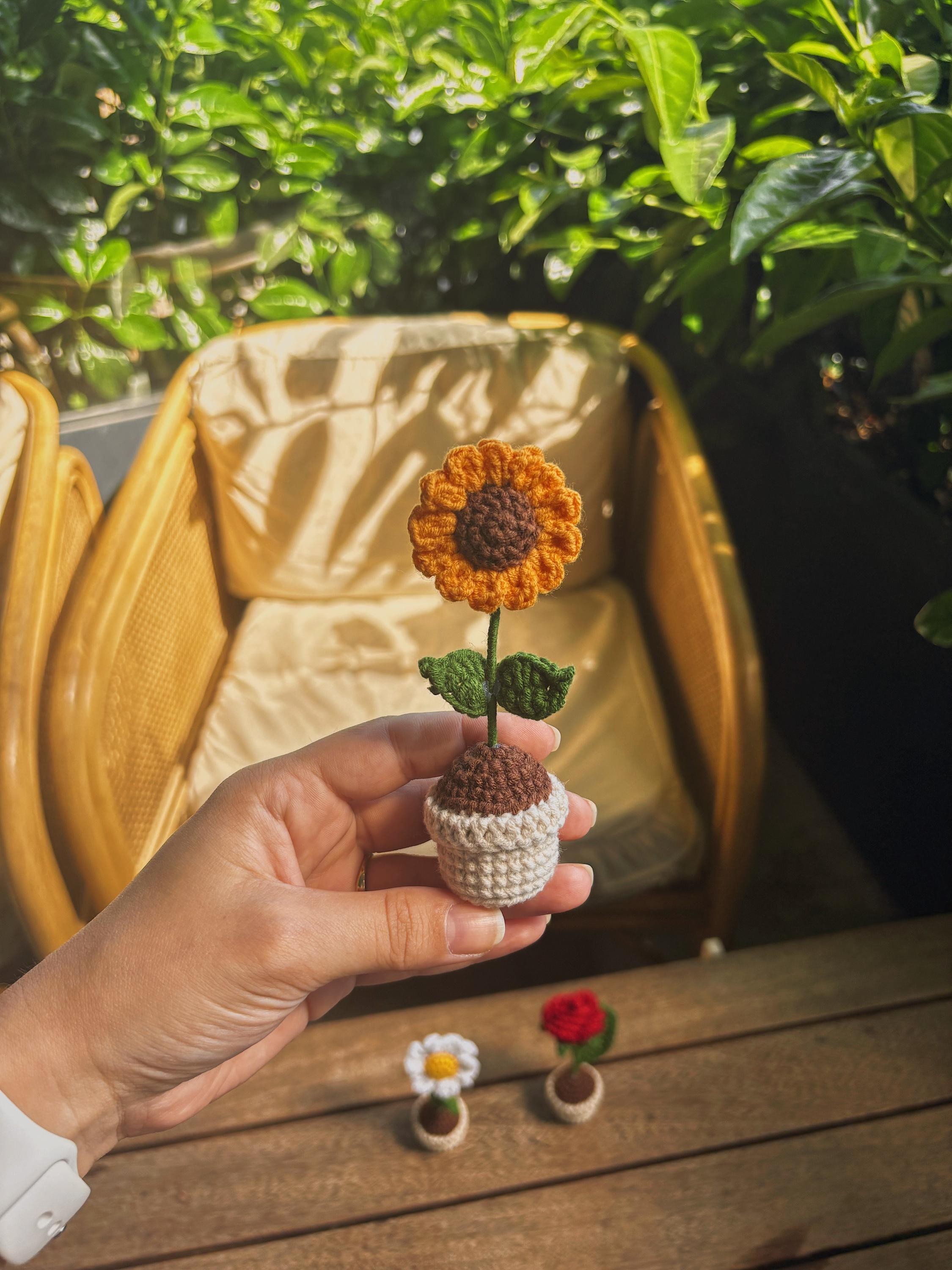 Crochet Potted Flower – Table / Car Decor – Rose, Daisy, Sunflower – Gift for Any Anniversary