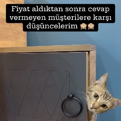 Instagram gönderisi açıklaması...