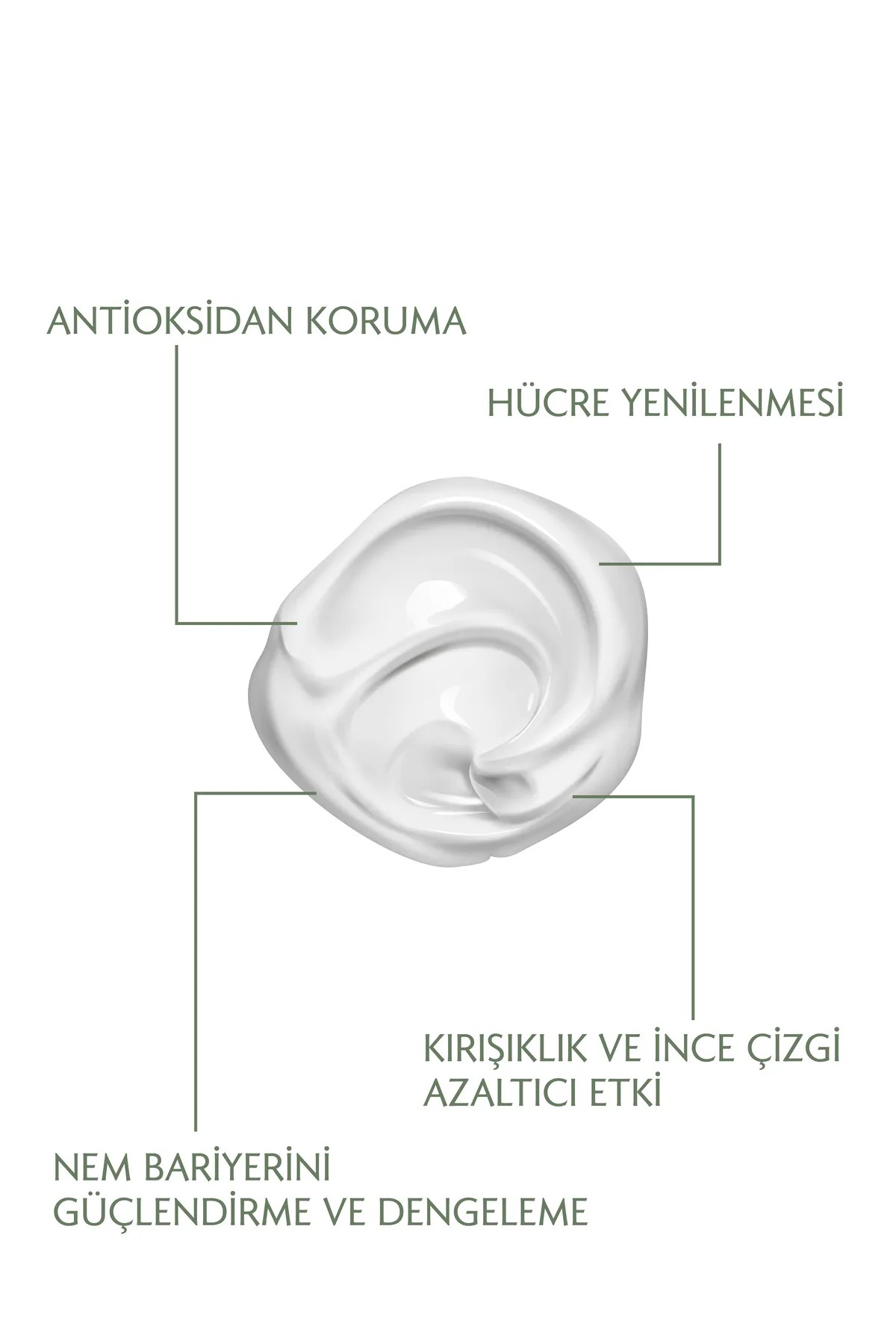 Herbest Skin Care Anti aging Yüz Kremi ( Yaşlanma Karşıtı Bakım Kremi ) 50 ml.