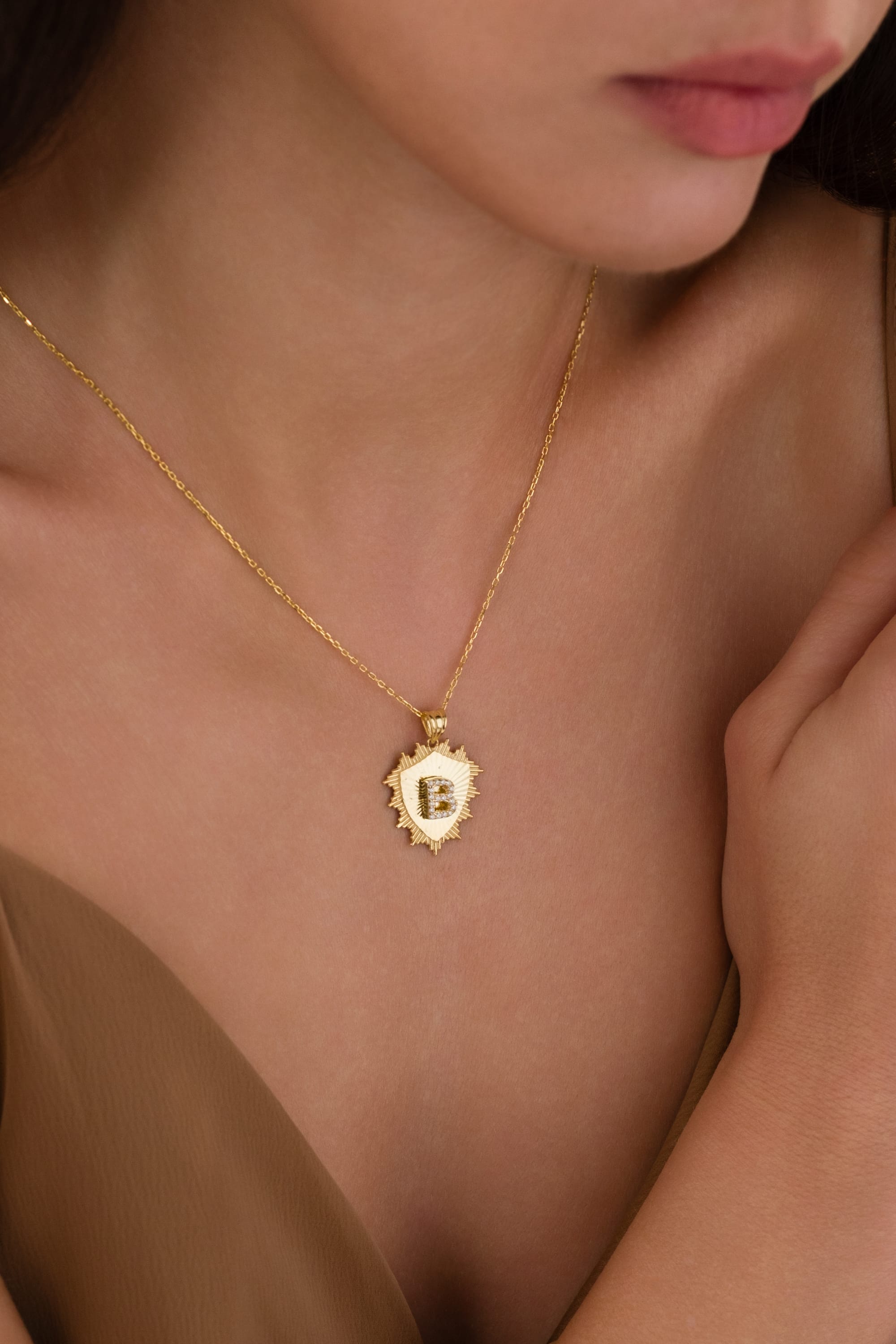 925 Ayar Gümüş Kişiye Özel Harfli Arma Kolye cover pic