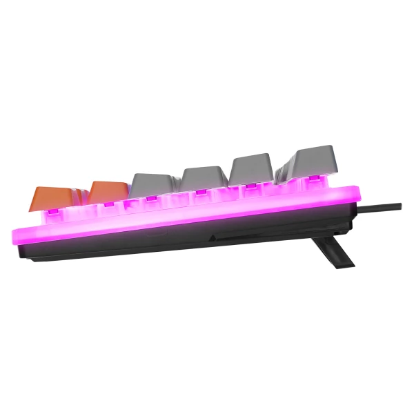 ACER EMACHINES EAK216 SİYAH/GRİ/TURUNCU USB RAINBOW AYDINLATMALI Q STANDART TKL KLAVYE