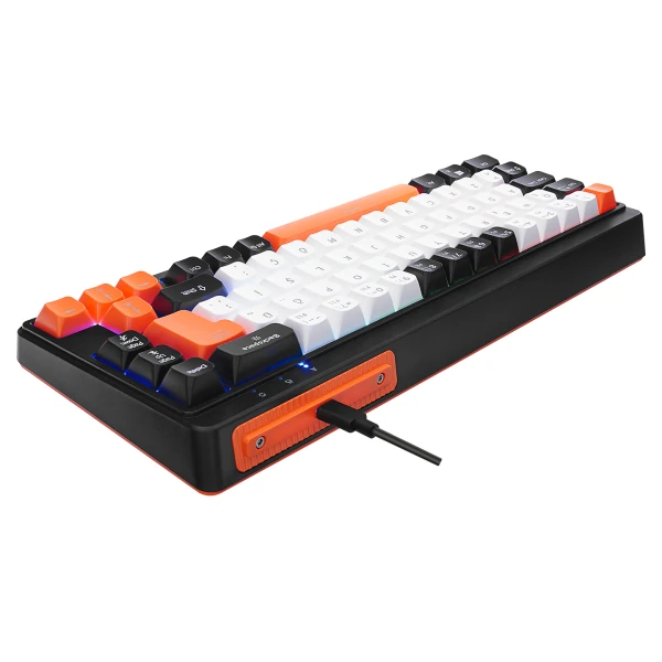 ACER EMACHINES EAK810 BEJ/SİYAH/TURUNCU USB RAINBOW AYDINLATMALI MINI Q STANDART KLAVYE